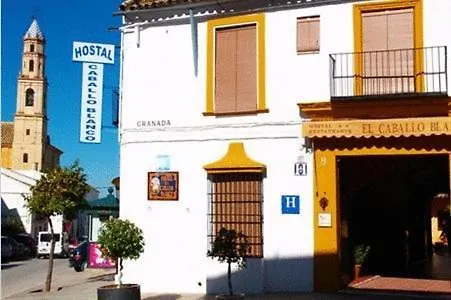 ** Guest house Hostal El Caballo Blanco Osuna Spain