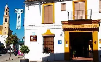 Hostal El Caballo Blanco Osuna 게스트하우스