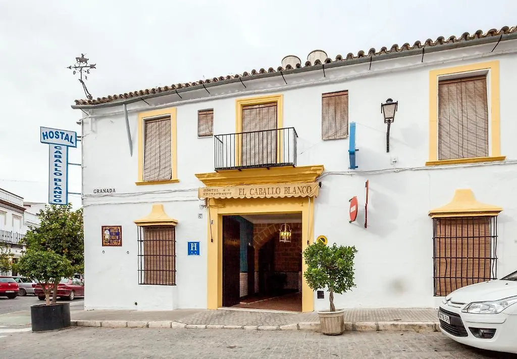 ** 게스트하우스 Hostal El Caballo Blanco Osuna 스페인