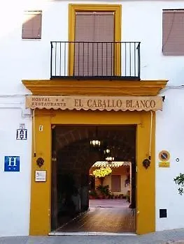 ** Guest house Hostal El Caballo Blanco Osuna Spain
